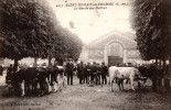 76 - SAINT ROMAIN DE COLBOSC - Le Marché Aux Bestiaux - Saint Romain De Colbosc