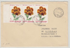 Faget Timis 1971 - Fleurs Flower Blumen - Lettre Cover Brief - Storia Postale