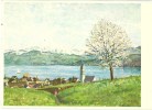 Meilen - Im Frühling  (Max Geiser, Feldmeilen)          Ca. 1940 - Meilen