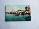 Carte Postale Ancienne : BELIZE :  British Honduras, River Regatta - Belize
