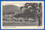 Deutschland; Braunlage Oberharz; Panorama - Braunlage