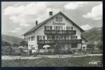 Cpsm Allemagne  Thalkirchdorf Café - Pension Haus Constanze   PAR17 - Oberstaufen