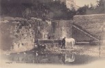 Delcampe - LANGRES FONTAINE ET ABREUVOIR DE LA PORTE SAINT DIDIER (cheval Canard ) - Langres