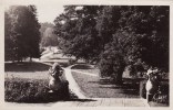 St HONORE Les BAINS. 49. Vue Du Parc Prise De L'Hotel "Le Morvan" - Saint-Honoré-les-Bains