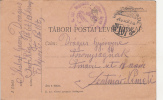 WARFIELD CORRESPONDENCE, POSTCARD, WW1, CAMP NR 107, CENSORED 67TH INFANTRY REGIMENT, 1916, HUNGARY - Storia Postale