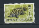 BRITISH  HONDURAS    1969   1/2c  Mouthbrooder    Yellow  Olive     MNH - British Honduras (...-1970)