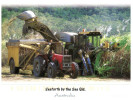 (986) Australia - QLD - Seaforth Sugar Cane Harvesting Machinery - Sunshine Coast