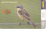 Nº 206 TARJETA DE URUGUAY DE ANTEL DE UNA MONTERITA CABEZA GRIS (PAJARO-BIRD) - Uruguay