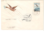 Carta  Con Sello  A-6 Formosa - Airmail