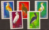 BULGARIA 1981 Birds MNH - Albatros & Stormvogels