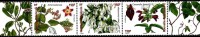 New Caledonia - 2006 - Ornamental Creepers Of New Caledonia - Mint Stamp Set - Ongebruikt