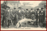 Dept 85     La Vendée Maraichine       Marché Aux Cochons       ( Scan Recto Et Verso ) - Challans