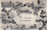 Thoiry 78 - Fantaisie Souvenir - Thoiry