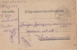 31867- WARFIELD WW1 POSTCARD, CENSORED, FIELDPOST 102, 1916, HUNGARY - Covers & Documents
