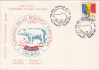 32081- ROMANIAN ARCTIC EXPEDITION, SVALBARD, POLAR BEAR, SPECIAL COVER, 1990, ROMANIA - Arctic Expeditions