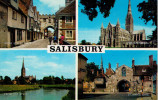 SALISBURY    MULTIVIEWS    (NUOVA) - Salisbury