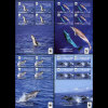 PENRHYN 2006 - Scott# 472A-5A S/S WWF-Dolphin MNH - Penrhyn