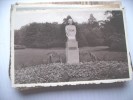 België Belgique Charleroi Monument Reine Astrid - Celles