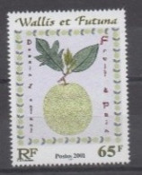 WALLIS Et FUTUNA : Flore - Fruits  De Wallis Et Futuna : Fruit à Pain - Ungebraucht