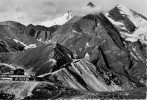 GROSSGLOCKNER  GRUSS  AUS  ST. WOLFGANG  (NUOVA) - St. Wolfgang