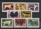 BULGARIE Chiens -Dogs N°Y/T : 1262/69** - Colecciones & Series