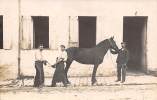 Thème  Métier     Maréchal Ferrand    Carte Photo (Peut être Doué La Fontaine  49) - Artigianato