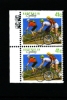 AUSTRALIA - 1989  41c. CYCLING  PAIR EX BOOKLET  2 KOALAS  REPRINT  MINT NH - Prove & Ristampe