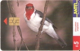 Nº 80 TARJETA PAJARO CARDENAL DE 5$ (BIRD) - Uruguay