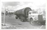 257343-Oregon, Portland, RPPC, Oregon Centennial Exposition 1959, 1000 Year Old Fir, Smith Photo No P-907 - Portland