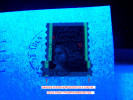 1997 N° 3085 TYPE I ( I  BANDES DEUX PHOS.   A - CHEVAL MARIANNE  OBLITÉRÉ  FRAGMENT YVERT 13.00 € - Used Stamps
