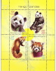 BULGARIA 2010 FAUNA Animals PANDAS - Fine S/S MNH - Unused Stamps