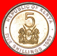 ★BI-METALLIC: KENYA★ 5 SHILLINGS 1997! MINT LUSTER! LOW START★NO RESERVE! - Kenya