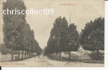 Carte Postale : Charny - Avenue De La Gare - Charny