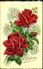 N°950 OOO 316 VIVE SAINTE CATHERINE  ROSES ET PAILLETTES  MD  SERIE 2400 - Santa Caterina