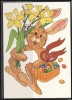 FINLAND Brief Postal History Post Card FI 060 Flora Plants  Easter Celebration - Cartas & Documentos