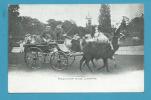 CPA Attelage Voitures Aux Lamas - Calèche Singe - Publicité Au Dos PARIS - - Parks, Gardens