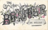 BILLIAT (01) Carte Fantaisie Bonjour De - Zonder Classificatie