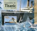 Mozambico 2012, Titanic, Birds, BF - Albatros & Stormvogels
