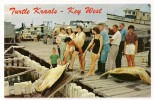 T999 - Turtle Kraals - Key West - Key West & The Keys