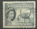 Somaliland Prot. - 1953 QEII Camel & Gurgi 5c Used     Sc 128 - Somaliland (Protectorat ...-1959)