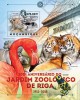 Mozambico 2012, Riga Zoo, Tiger, Frog, Flamingo, Hippoes, Monkeys, BF - Flamingo's