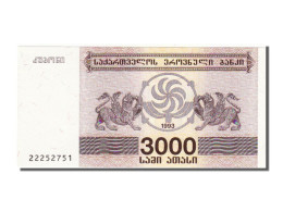 Billet, Géorgie, 3000 (Laris), 1993, NEUF - Georgien