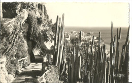 Monaco Montecarlo (Principaute De Monaco) Jardin Exotique Et Vue Sur La Rocher, Giardino Esotico E Panorama - Jardin Exotique