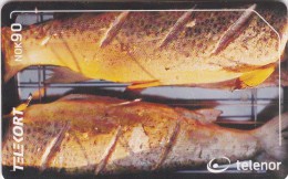 Norway, N218, Fjellaure / Mountain Trout, CN : 16030 001C9,  2 Scans. - Norvège