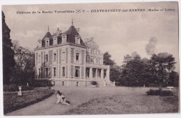 Château De La Roche Verouillère - Chateauneuf-sur-Sarthe - Chateauneuf Sur Sarthe