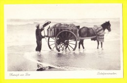 * Katwijk Aan Zee (Zuid Holland - Nederland) * (NV Uitg Mij Rembrandt Utrecht Nr 66) Schelpenvisser, Attelage Cheval - Katwijk (aan Zee)