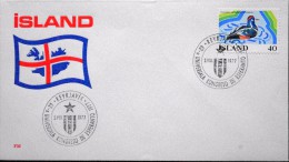 Iceland 1977   Minr.524      Special Cancel Cover    ( Lot 2917 ) - Storia Postale
