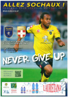 Programme FC Sochaux â€“ Evian Thonon 2013/4 - Libros