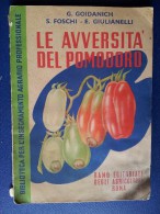 M#0L17 Goidanich Foschi Giulianelli LE AVVERSITA' DEL POMODORO Ramo Edit.Agricoltori Roma 1953 - Giardinaggio