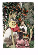 06 - COTE D´AZUR - Cueillette Des Oranges - Costume Du Pays - Femme Fillette Sur Escabeau Chapeau - Folklore - N°16 - Bomen